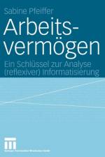 Arbeitsvermoegen af Sabine Pfeiffer