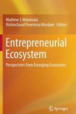 Entrepreneurial Ecosystem