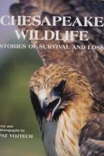 Chesapeake Wildlife af Pat Vojtech