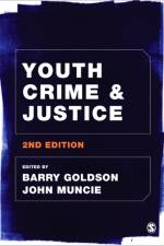Youth Crime and Justice