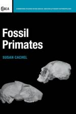Fossil Primates af New Jersey) Cachel