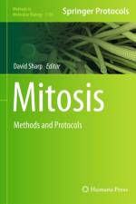 Mitosis