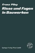 Risse Und Fugen in Bauwerken af F Pilny