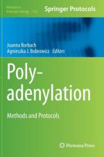 Polyadenylation