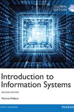 Introduction to Information Systems, Global Edition af Patricia Wallace