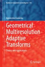 Geometrical Multiresolution Adaptive Transforms af Agnieszka Lisowska