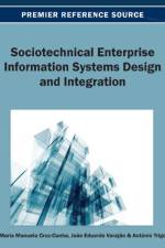 Sociotechnical Enterprise Information Systems Design and Integration
