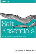 Salt Essentials