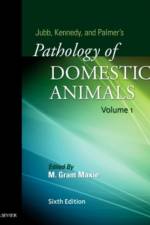 Jubb, Kennedy & Palmer's Pathology of Domestic Animals: Volume 1 af Grant Maxie