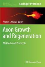 Axon Growth and Regeneration