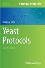 Yeast Protocols