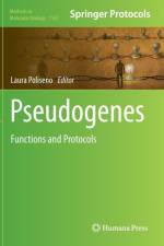 Pseudogenes