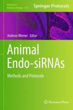 Animal Endo-SiRNAs