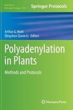 Polyadenylation in Plants