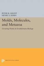 Molds, Molecules, and Metazoa