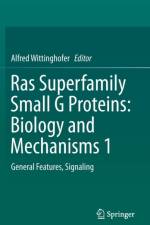 Ras Superfamily Small G Proteins: Biology and Mechanisms 1