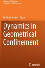 Dynamics in Geometrical Confinement
