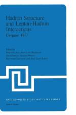 Hadron Structure and Lepton-Hadron Interactions