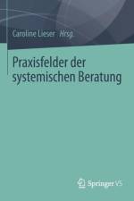 Praxisfelder Der Systemischen Beratung