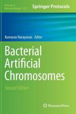 Bacterial Artificial Chromosomes