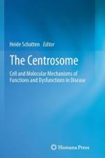 Centrosome