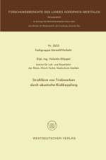 Strahllarm Von Triebwerken Durch Akustische Ruckkopplung af Valentin Kloeppel