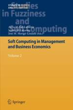 Soft Computing in Management and Business Economics
