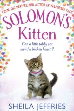 Solomon's Kitten
