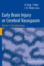Early Brain Injury or Cerebral Vasospasm