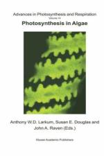 Photosynthesis in Algae