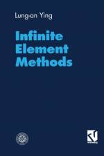 Infinite Element Methods af Lung-an Ying