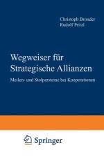 Wegweiser Fur Strategische Allianzen