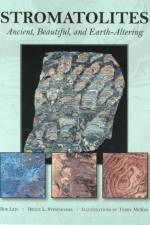 Stromatolites af Bruce L. Stinchcomb