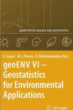 geoENV VI - Geostatistics for Environmental Applications