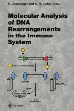 Molecular Analysis of DNA Rearrangements in the Immune System