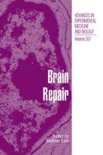 Brain Repair