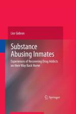 Substance Abusing Inmates af Lior Gideon