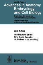 Neurons of the First Optic Ganglion of the Bee (Apis mellifera) af W.A. Ribi