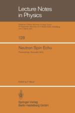 Neutron Spin Echo