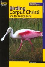 Birding Corpus Christi and the Coastal Bend af Jamie Ritter