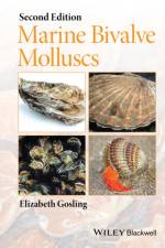 Marine Bivalve Molluscs af Elizabeth (Galway-Mayo Institute of Technology) Gosling