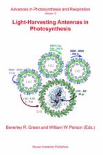 Light-Harvesting Antennas in Photosynthesis