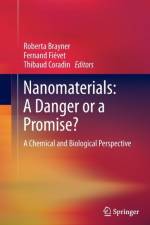 Nanomaterials: A Danger or a Promise?