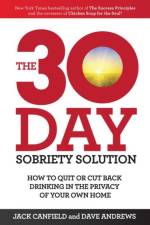 30-Day Sobriety Solution af Jack Canfield
