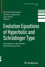 Evolution Equations of Hyperbolic and Schroedinger Type