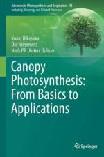 Canopy Photosynthesis: From Basics to Applications