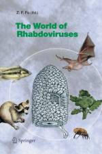 World of Rhabdoviruses