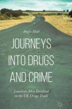 Journeys into Drugs and Crime af Angie Heal