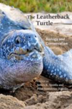 The Leatherback Turtle