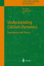 Understanding Calcium Dynamics